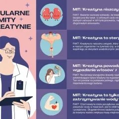 Grafika obala popularne mity o kreatynie, wyjaśniając co to jest i jak działa. Pokazuje m.in. że nie niszczy nerek ani nie powoduje wypadania włosów.