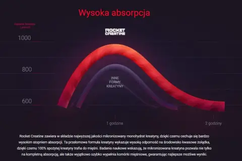 Wykres porównuje absorpcję kreatyny monohydratu (Rocket Creatine) z innymi formami. Monohydrat zapewnia wyższą i szybszą absorpcję.