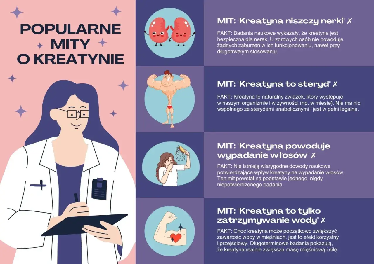 Grafika obala popularne mity o kreatynie, wyjaśniając co to jest i jak działa. Pokazuje m.in. że nie niszczy nerek ani nie powoduje wypadania włosów.